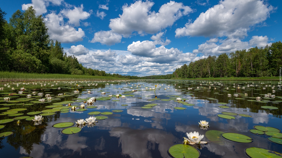 https://avatars.dzeninfra.ru/get-zen_doc/1221393/pub_629baf21f14c8f297baa5a15_629baf6cf321567769dae62e/scale_2400