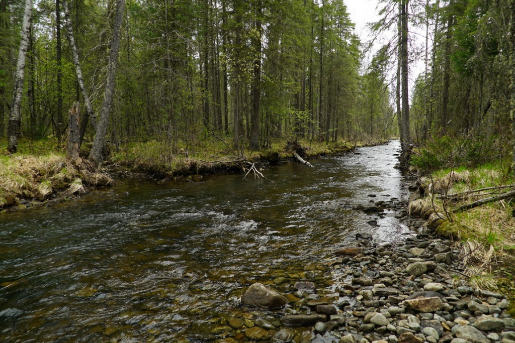 C:\Users\1\Downloads\Река Шарп.jpg