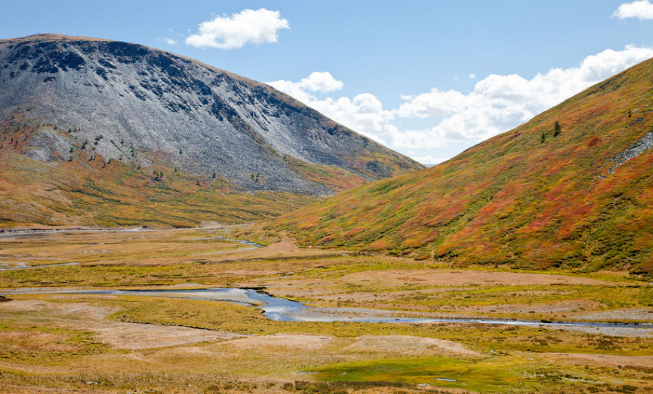 C:\Users\1\Downloads\scale_1200 (1).png