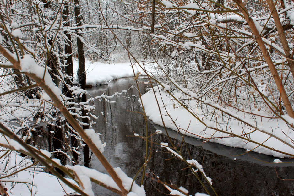 C:\Users\1\Downloads\scale_1200 (2).png