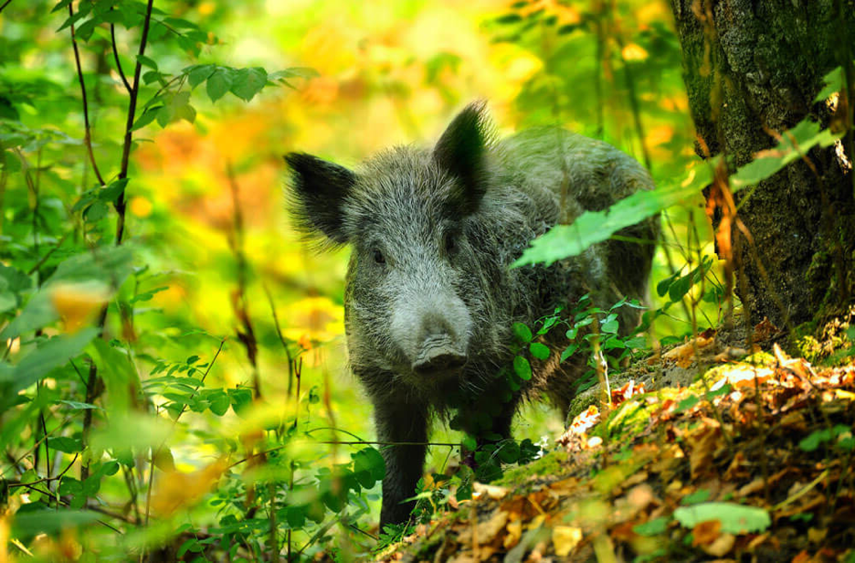 C:\Users\1\Downloads\scale_1200 (3).png