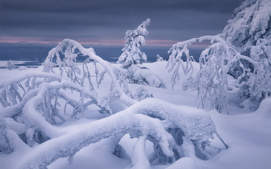 C:\Users\1\Downloads\scale_1200 (3).png