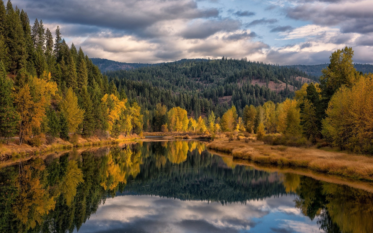 C:\Users\1\Downloads\2и26 (1).jpg