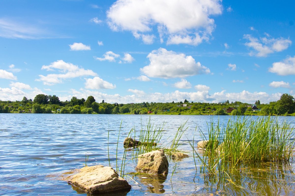 C:\Users\1\Downloads\914693 (1).jpg