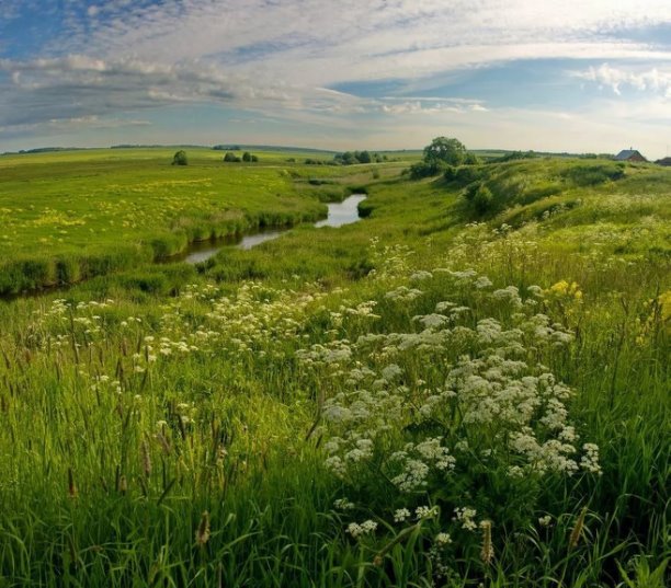 C:\Users\1\Downloads\i (1).jpg